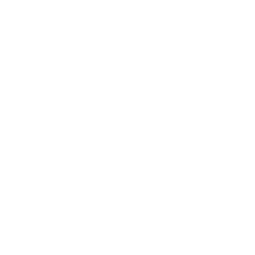 logo1
